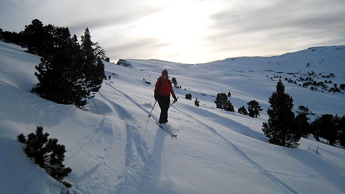 Plateau NW : Descente du plateau NW dans une belle poudre hyper froide