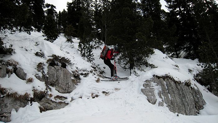 Chartreuse Verte : La Chartreuse, et ses combes secrètes où il faut Louvoyer entre les barres...