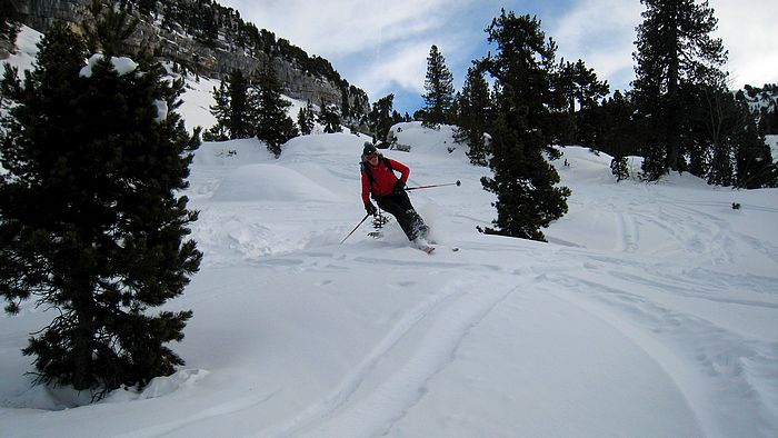 Chartreuse Verte : La Chartreuse, et ses virages dans la poudre entre les sapins...