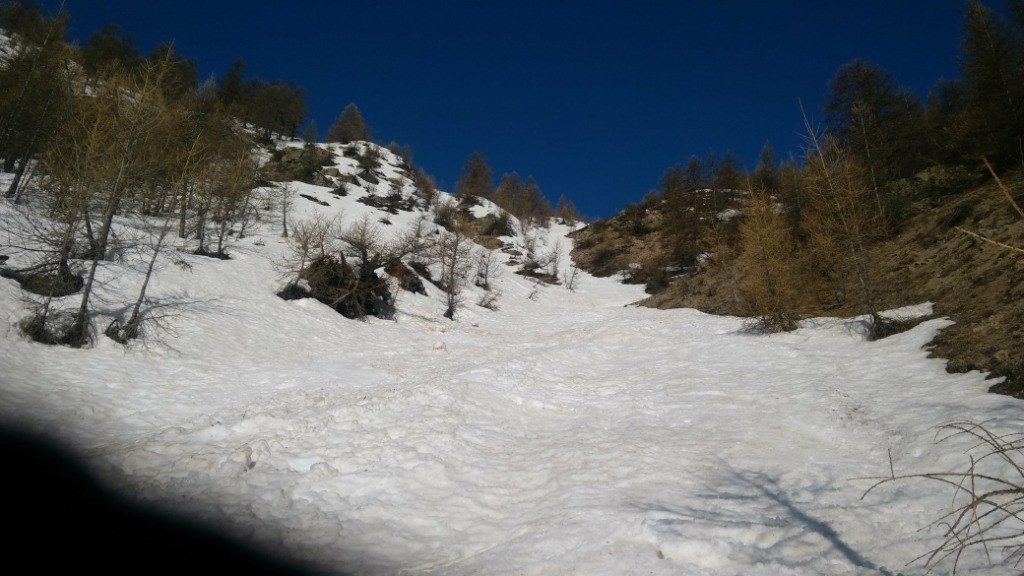 #13 Ravin, entre les Ribes et le Torrent du Vallon: Pas pire! Ravin, entre les Ribes et le Torrent du Vallon: Pas pire!