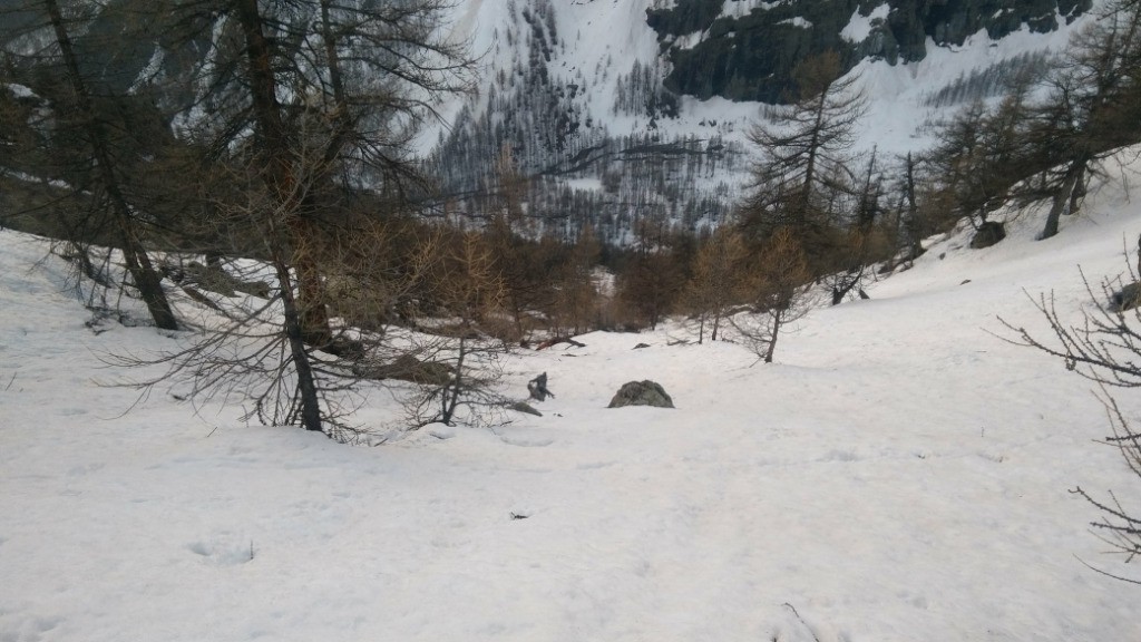 #2 Couloir au-dessus des Sarrières. Couloir au-dessus des Sarrières.
