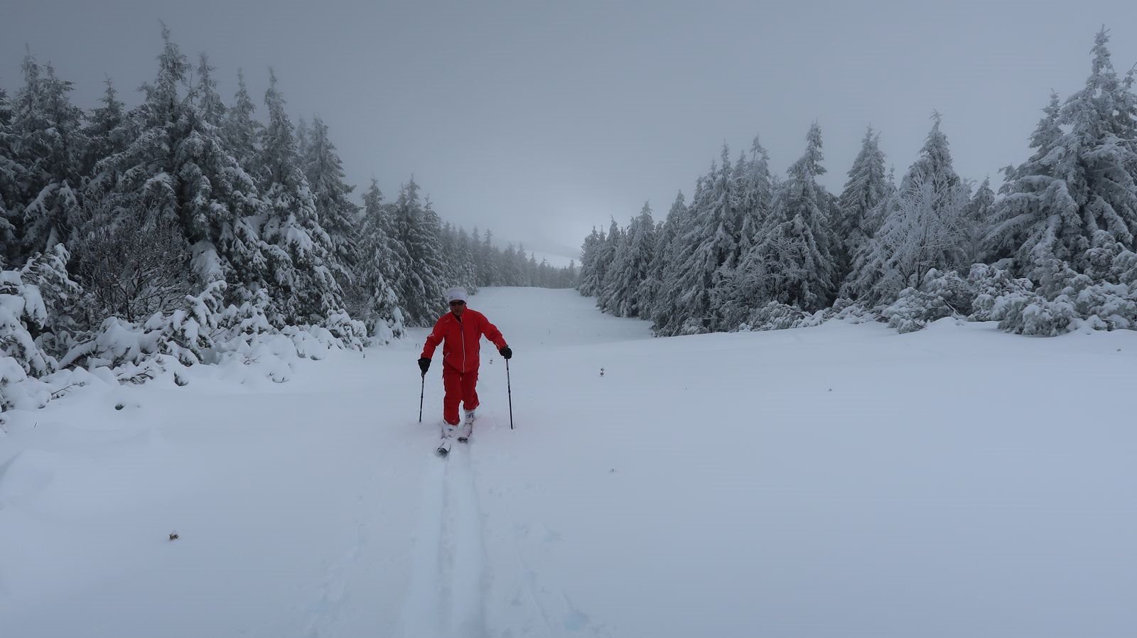 Thierry, affûté comme jamais