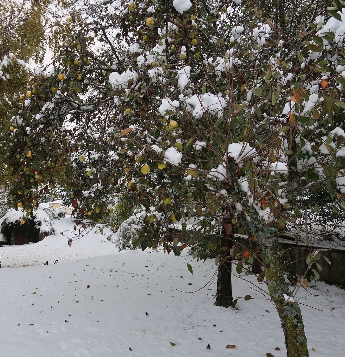 Dans un coing perdu des montagnes