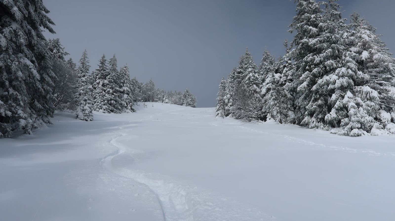 Bonne première trace