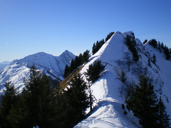 Côte Favre : Du sommet, vue sur le chainon Armène - Pécloz.