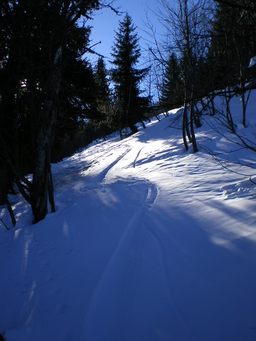 Côte Favre : Descente en forêt...