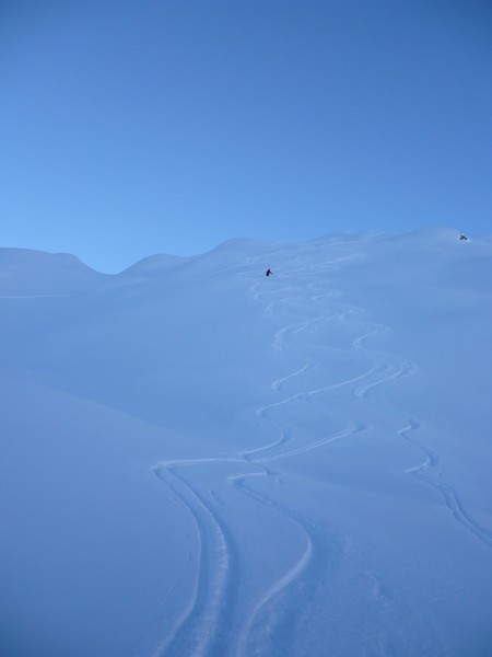 poudreuse : plaisir de skier !