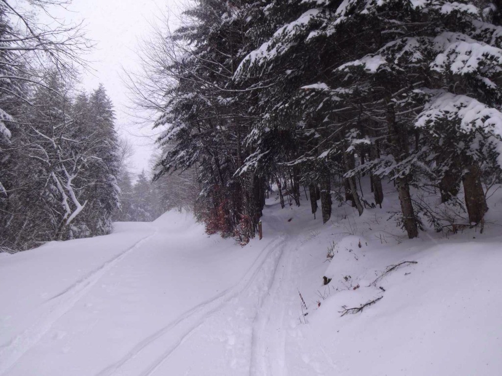 a droite la montée et à gauche la descente, le tout dans un rail nickel