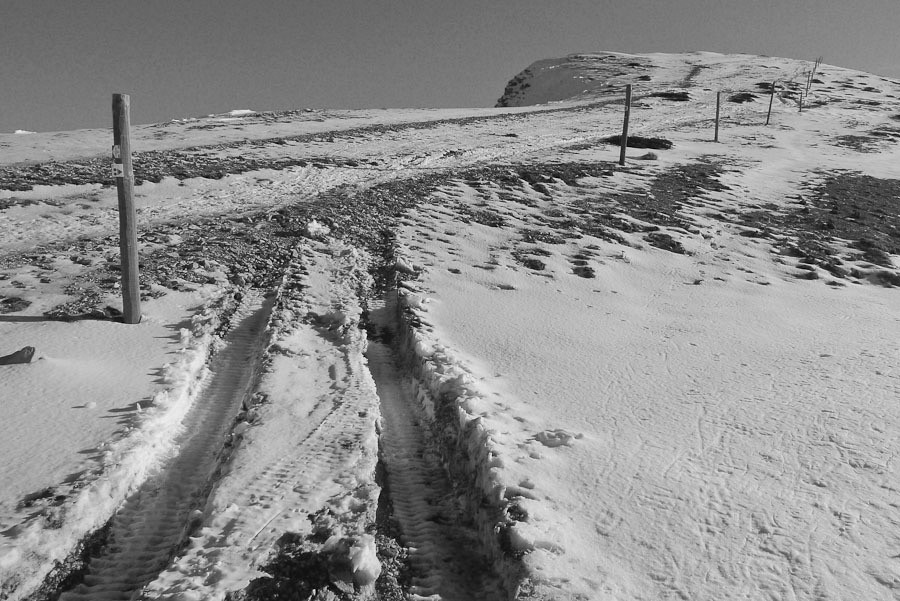 Crêtes de Lure : la bêtise humaine est sans limite.