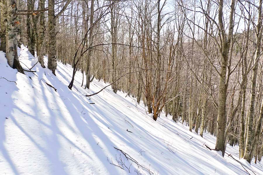 Sisi, ça passe bien !