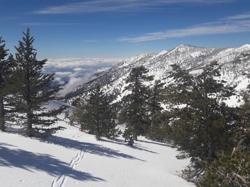 Vue sur San Bernardino Mountain en montant au Charlton peak