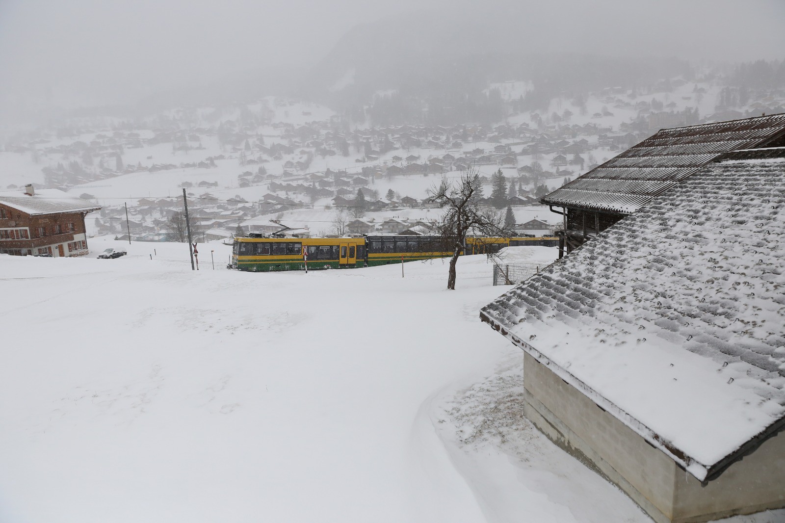 Le train jaune et vert, Grindelwald derrière...