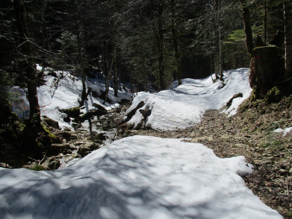 le ruisseau fait fondre la neige en de nombreux endroits