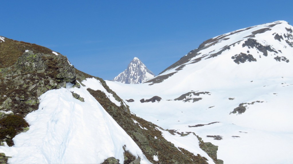 J3 - l'Aletschhorn pointe