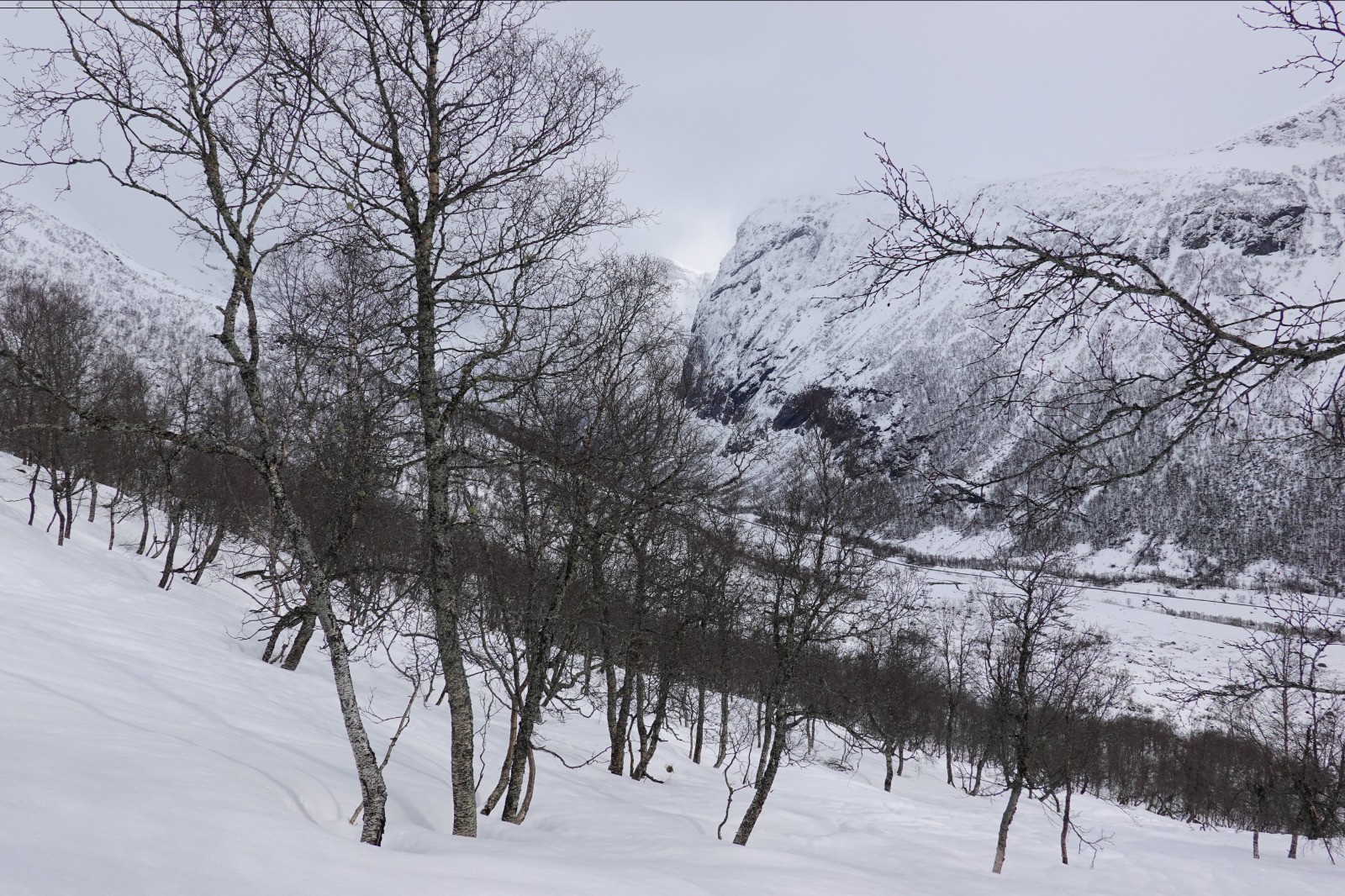 Vue vers la vallée et le sommet du Fivelstadnibba