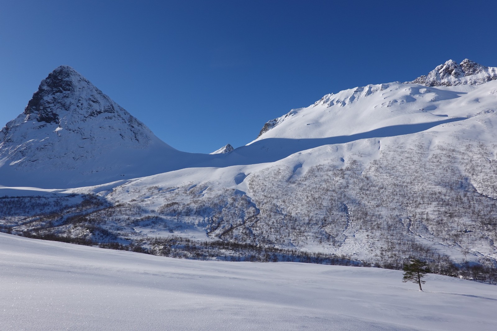 La course de l'après-midi vers le Trollvatnet situé à droite du Langhornet