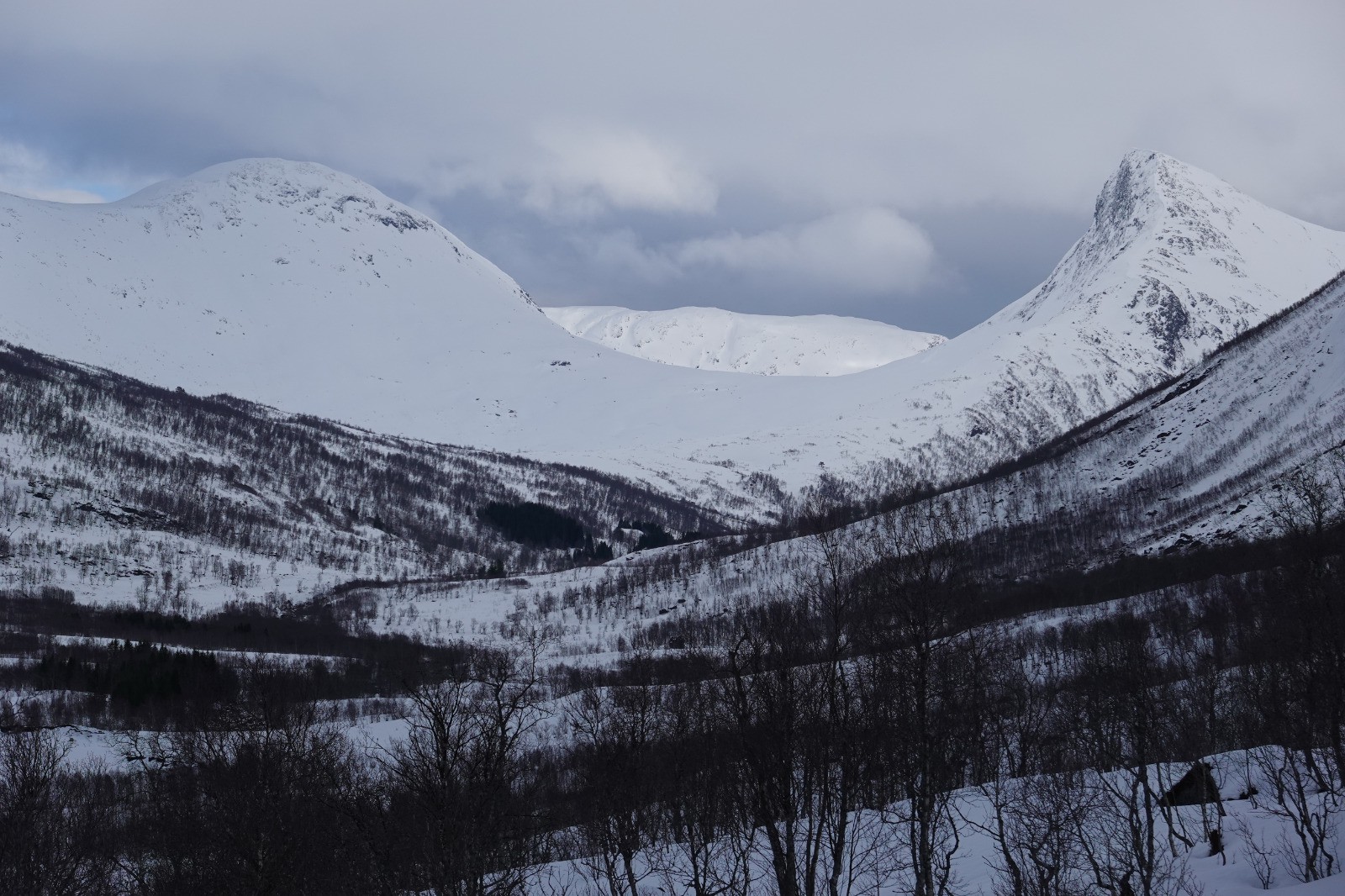 Panorama sur le fond de la vallée et notamment le Holtafjellet