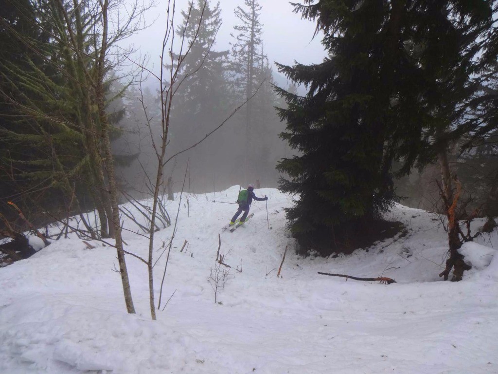 Un peu de ski ludique dans le bois