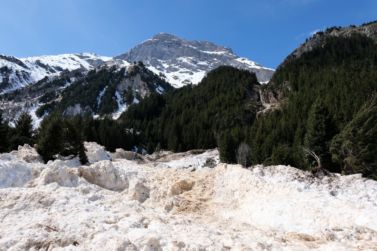 Monstrueuse avalanche à la sortie du Bois de la Chollière.