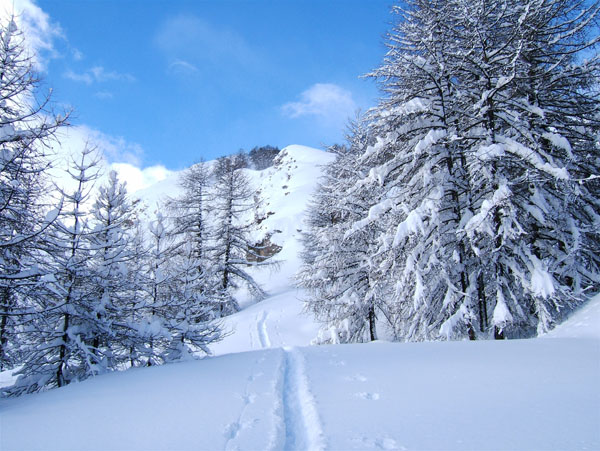 La Croix de Carlé : La Crête vers 2300m