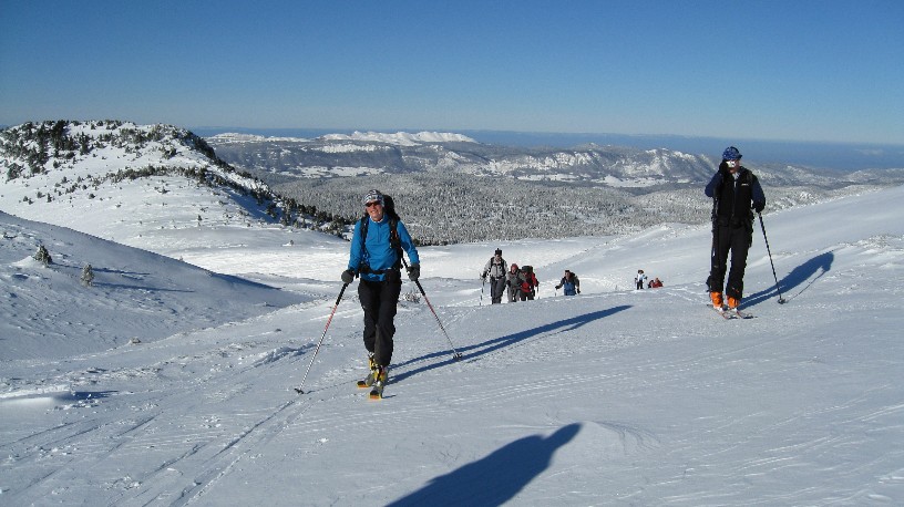 Troupeau : Attaque de skitouriens