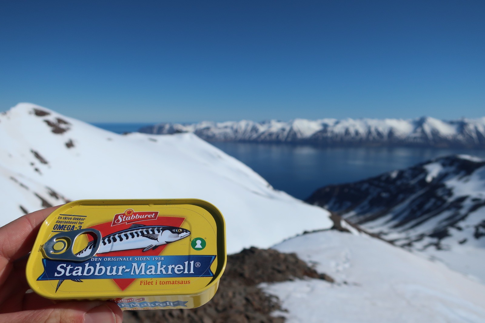 J4 : la base au sommet