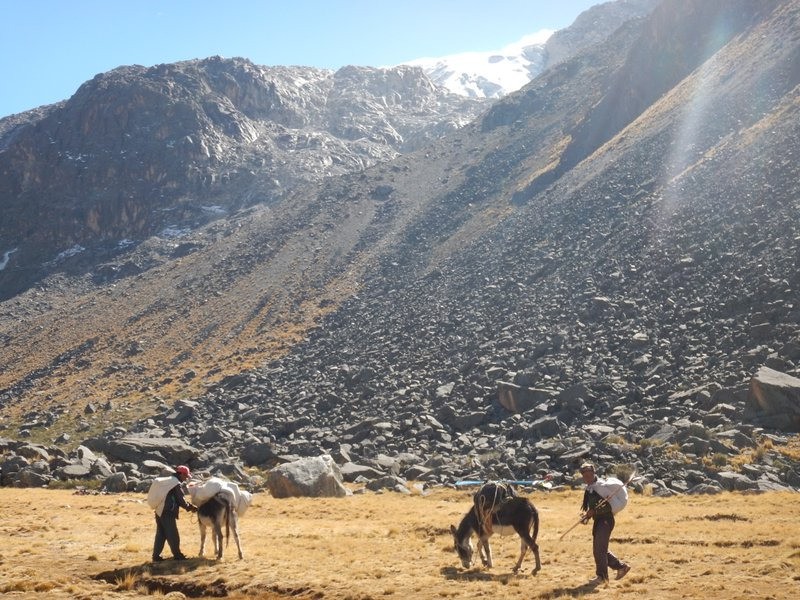 Les ânes au replat vers 4700m. Le camp haut se trouve au pied du glacier en haut à gauche derrière l'épaule rocheuse.