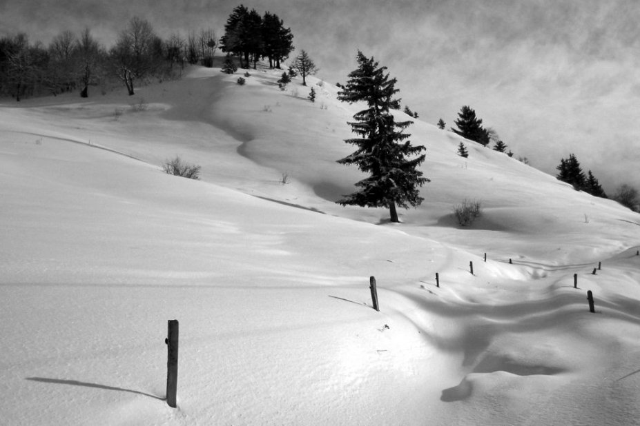 Montagne de Sulens : Des accumulations mais rien de très grave à cet endroit