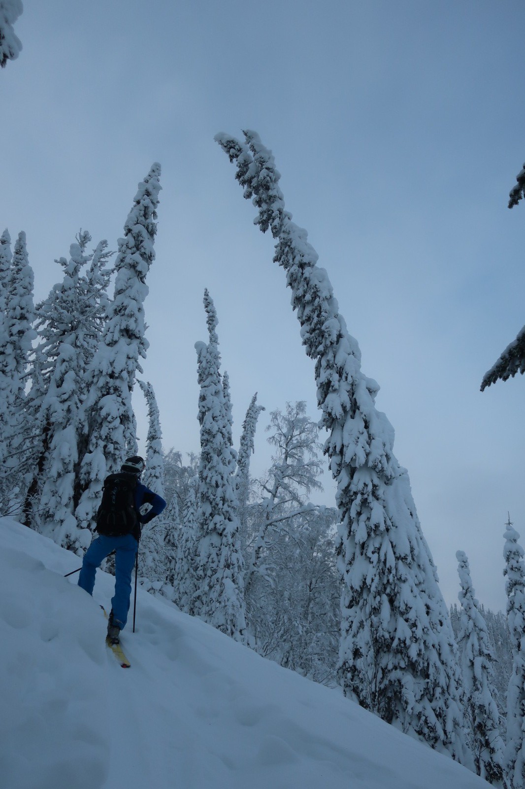 Les arbres croulent sous la neige et cassent parfois