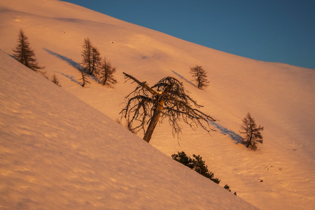 Solitairebien connu