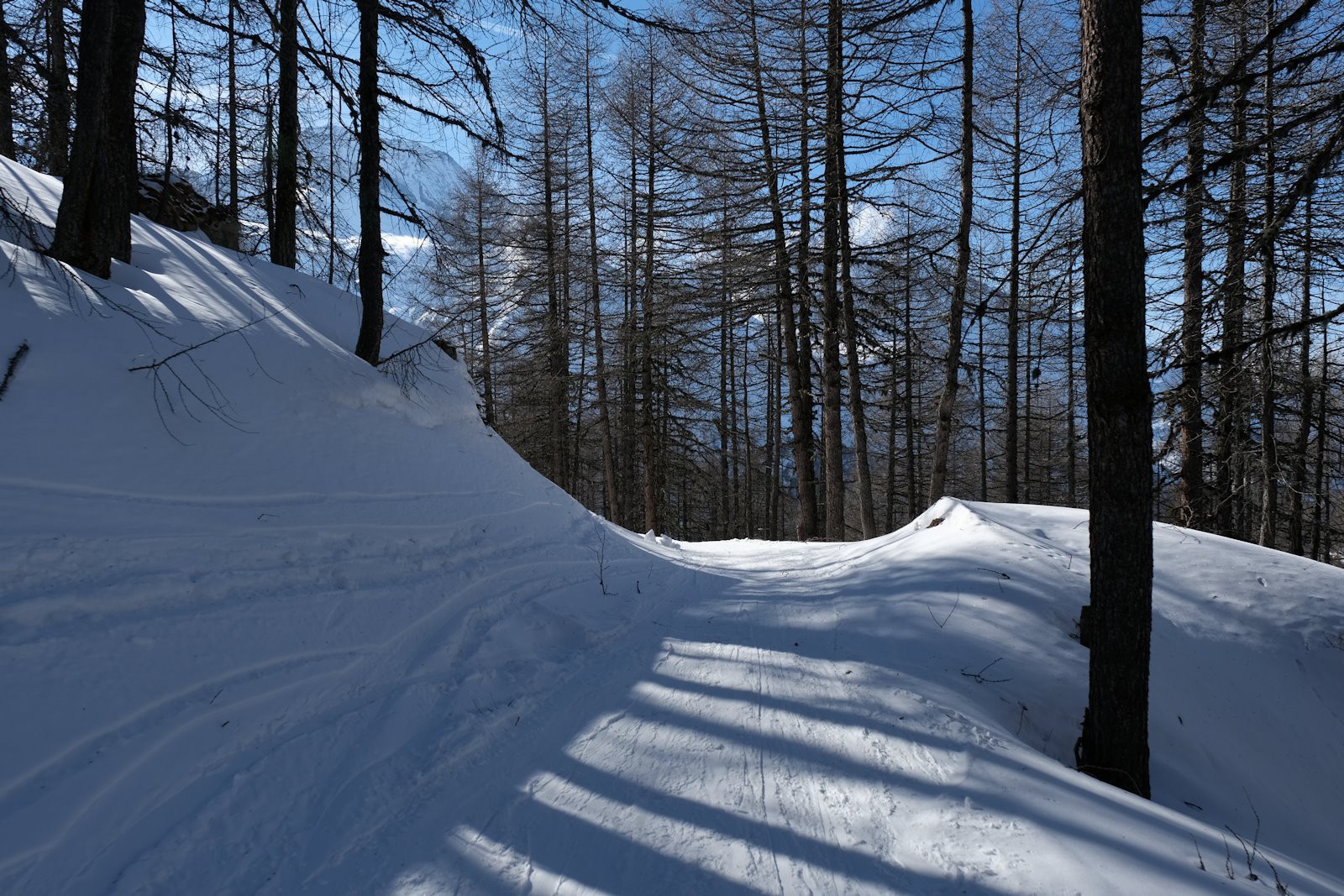Entre 2200 m et 1900 m : neige bien lisse, généralement froide, damée par les passages. 