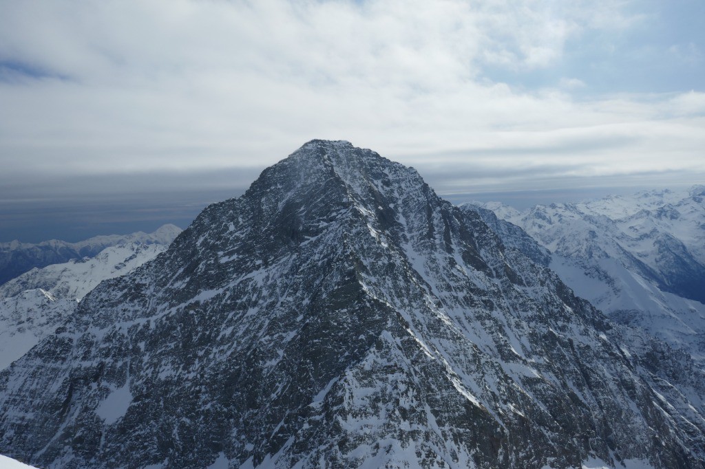 Le maître des lieux du haut de ces 2961m (Mont Tagliafero)