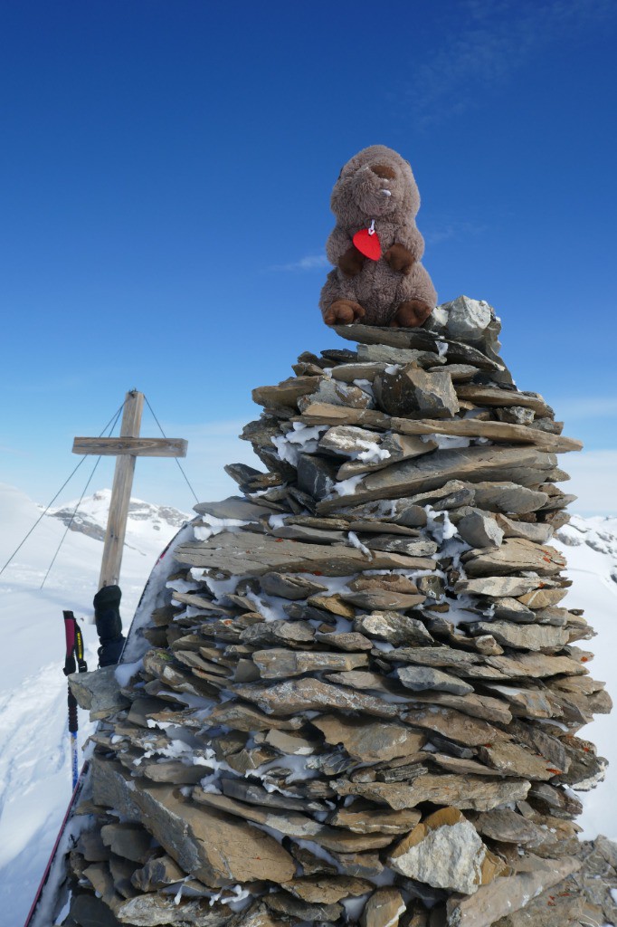 Summit pour marmotte