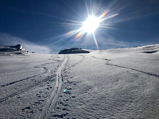 Vers 2300 m, dans la montée aux Grandes Plattières. 5 cm de neige fraîche!
