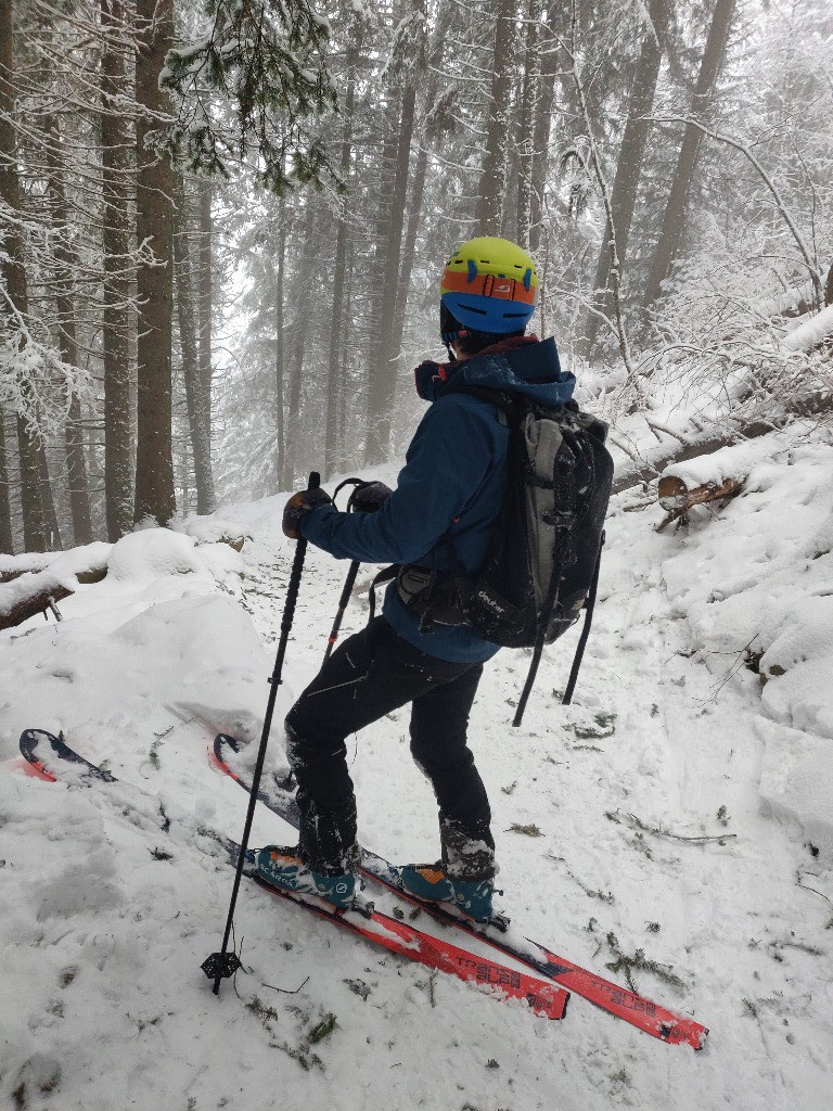 La forêt, havre de skiabilité (avec des cailloux quand même, faut pas rêver)