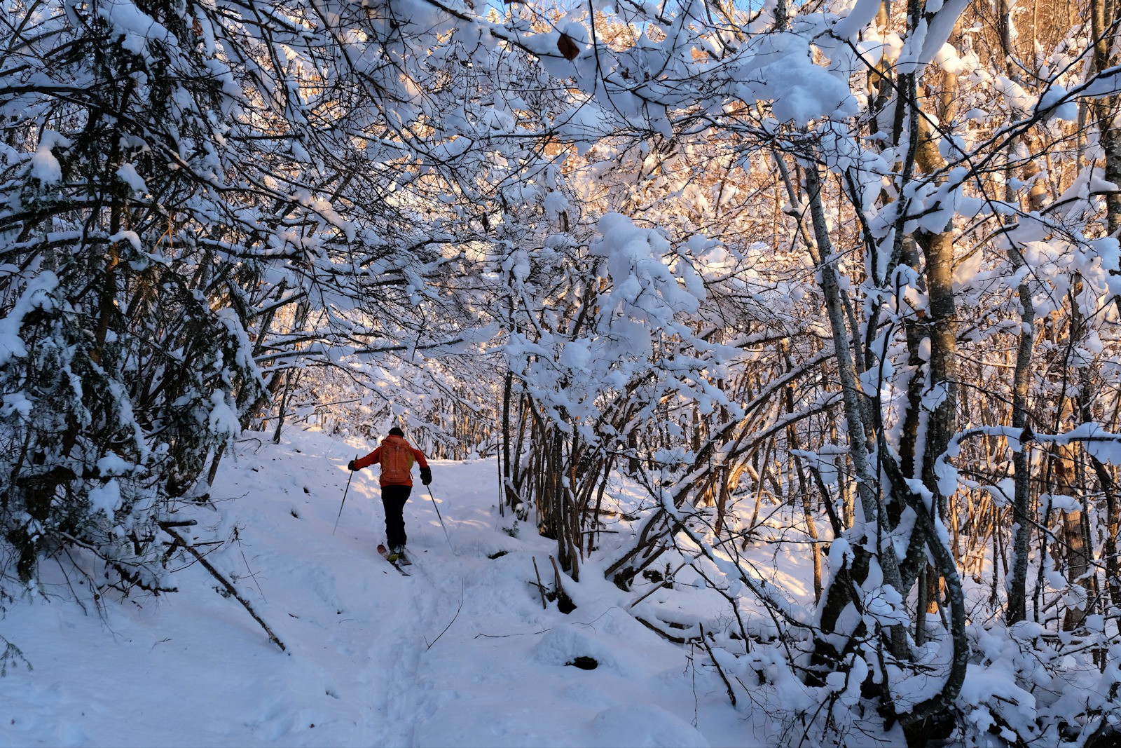 Forêt de Varrat : peu de neige, mais belle ambiance.