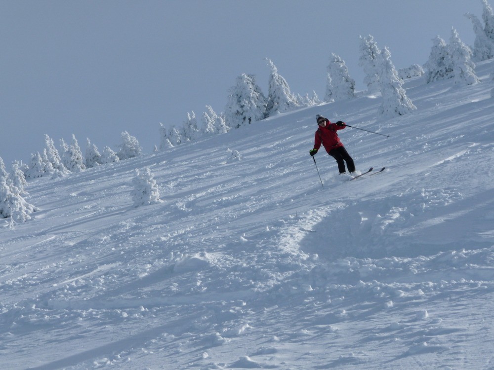 Vers 1800m, zone bien trafolée (Denis redécouvre le ski)