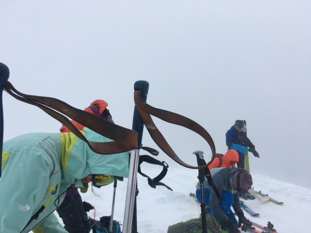 5 skieurs dans le vent