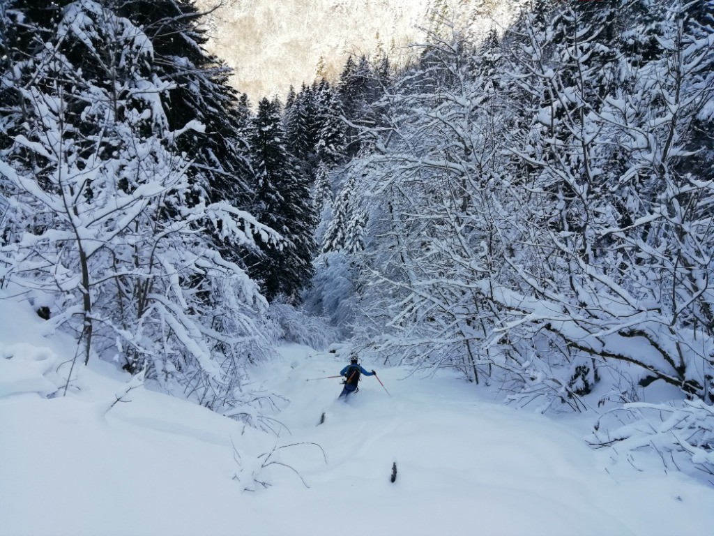 #11 La trouée rigolote La trouée rigolote