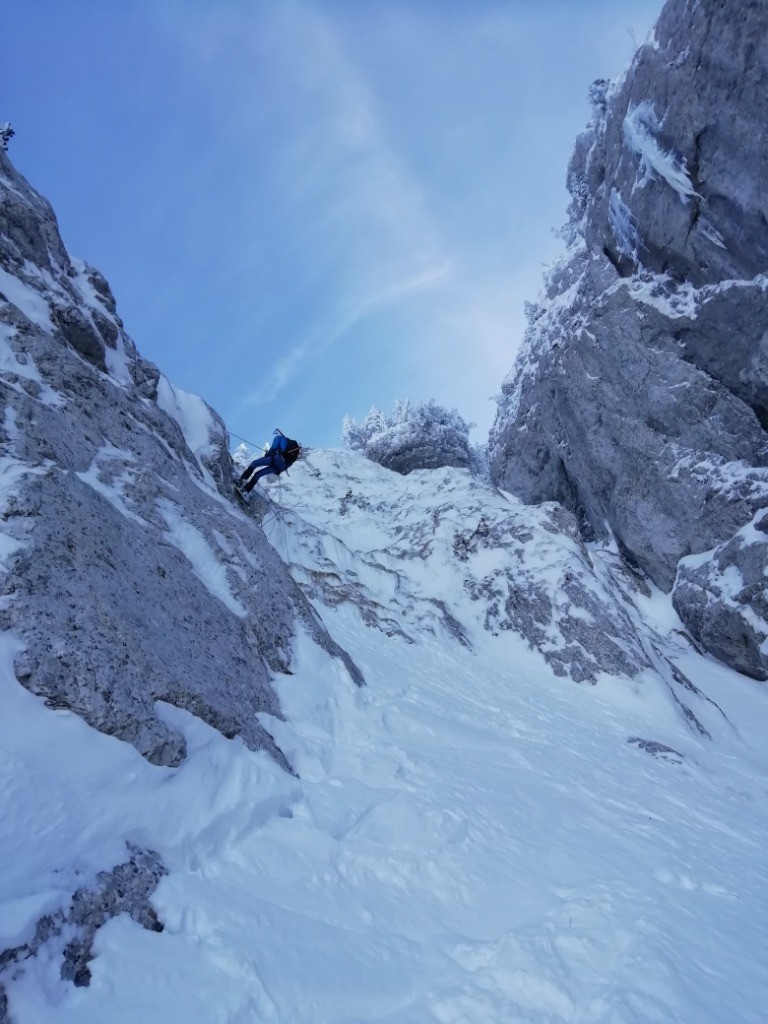 #7 Cochon pendu Cochon pendu