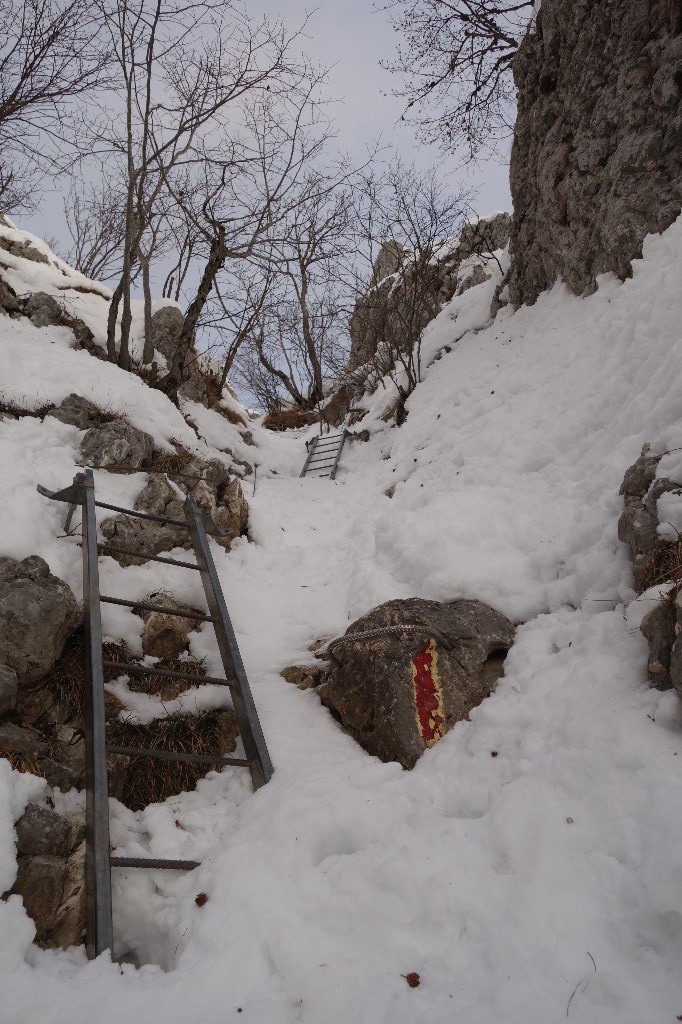 Vraiment pas assez de neige pour skier, pourtant il y avait une trace !!