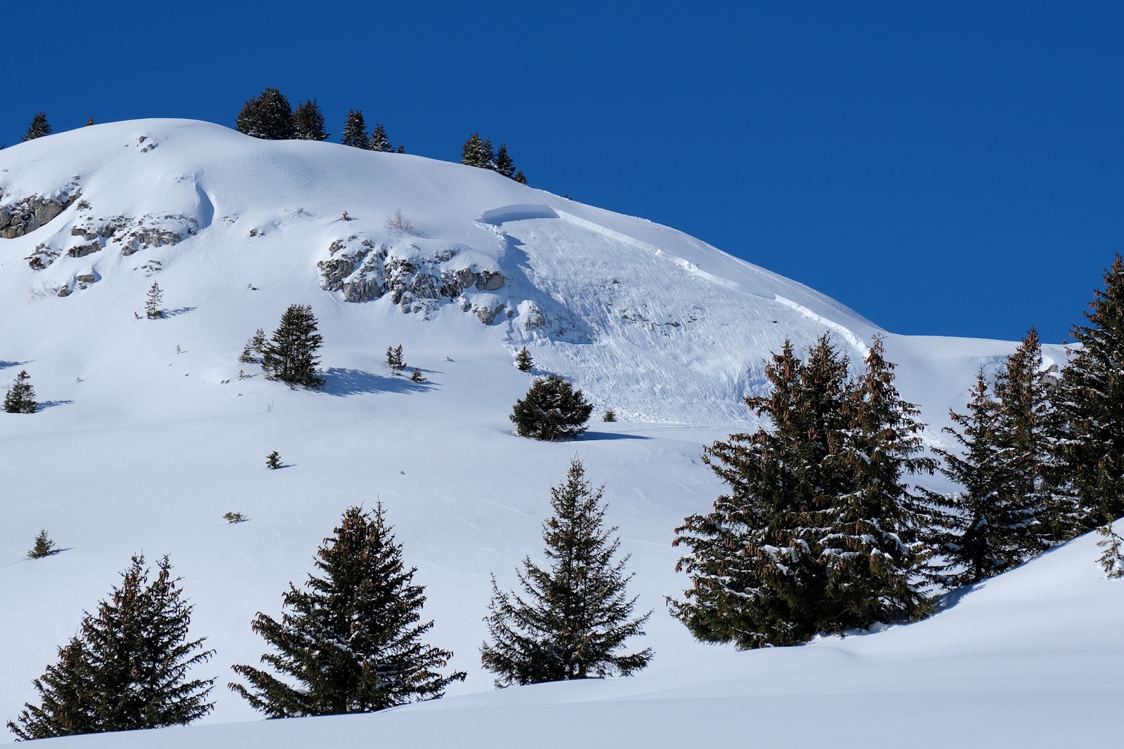 Une plaque épaisse en versant Est probablement déclenchée à distance par des skieurs passés juste au dessus.