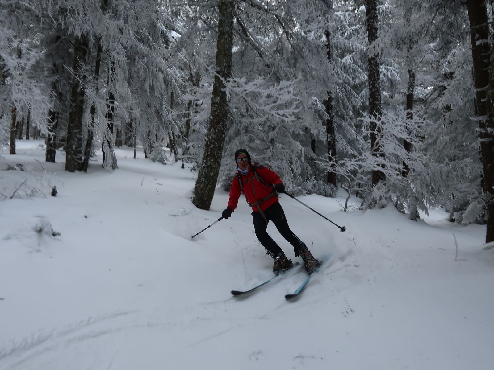 Ski en forêt parfait