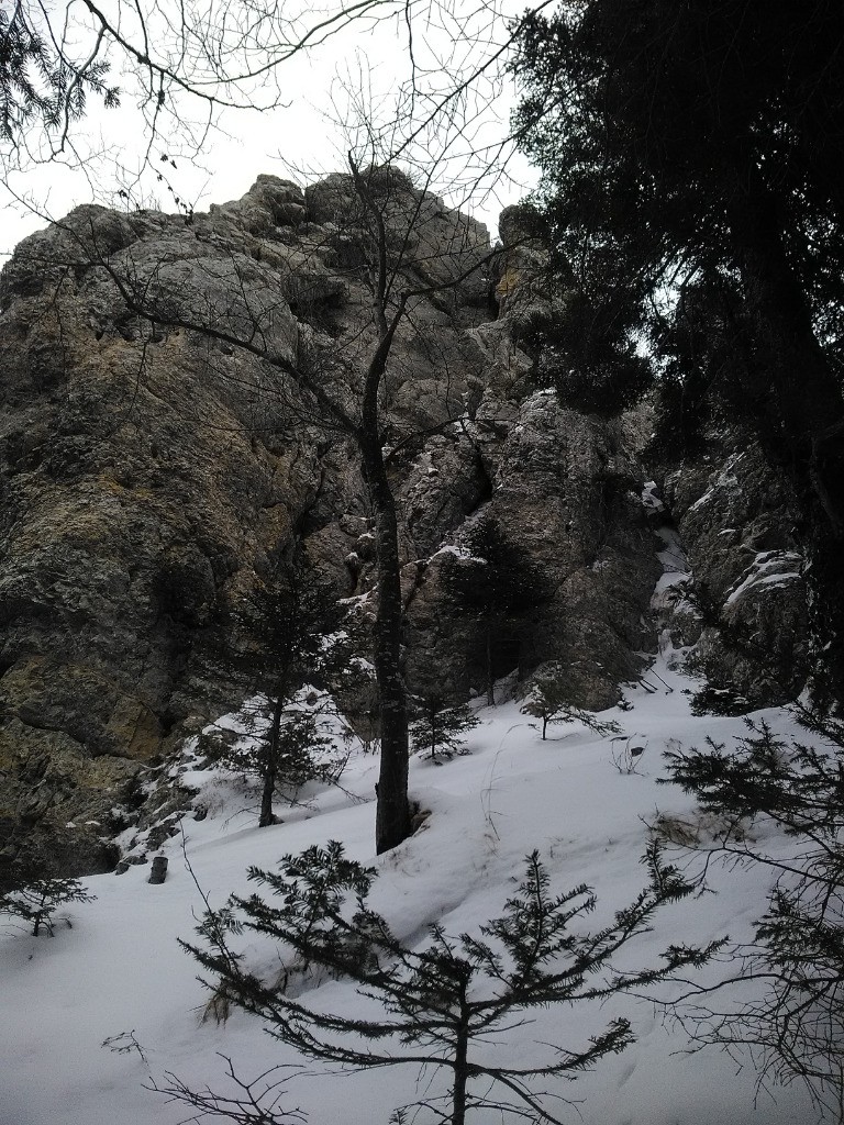 Prés des rochers du sommet