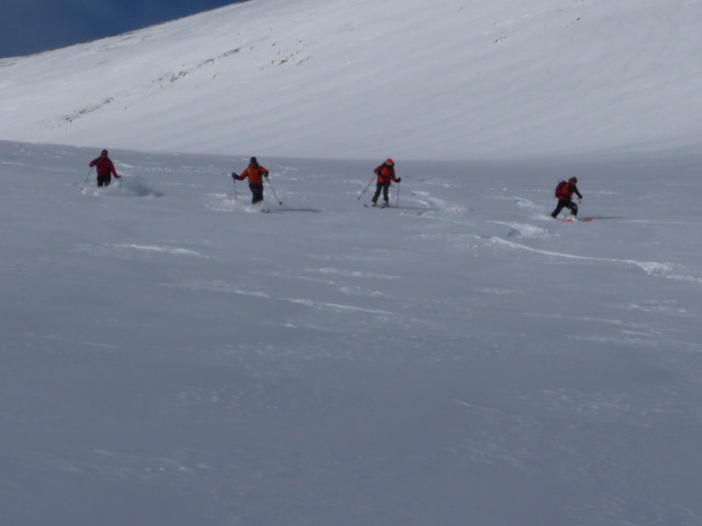 En cours de descente: poudreuse excellente! Dans l'ordre de gauche à droite : Allan, Didier, Anne et Alain