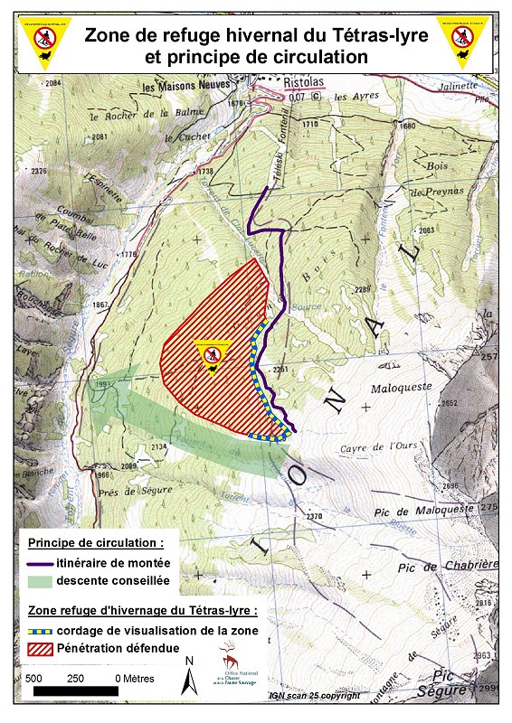 Zone d'hivernage du Tétras-lyre : Carte de principe de circulation