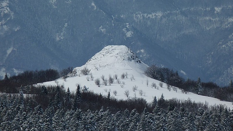 Rocher de Cheylard vue du NE (19-03-2013)