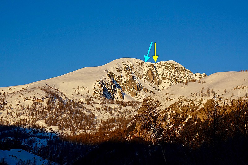 Mont Bégo : la VN suit la forêt puis la large croupe orientée SE. Flèche bleue : couloir E, flèche jaune : couloir NE.