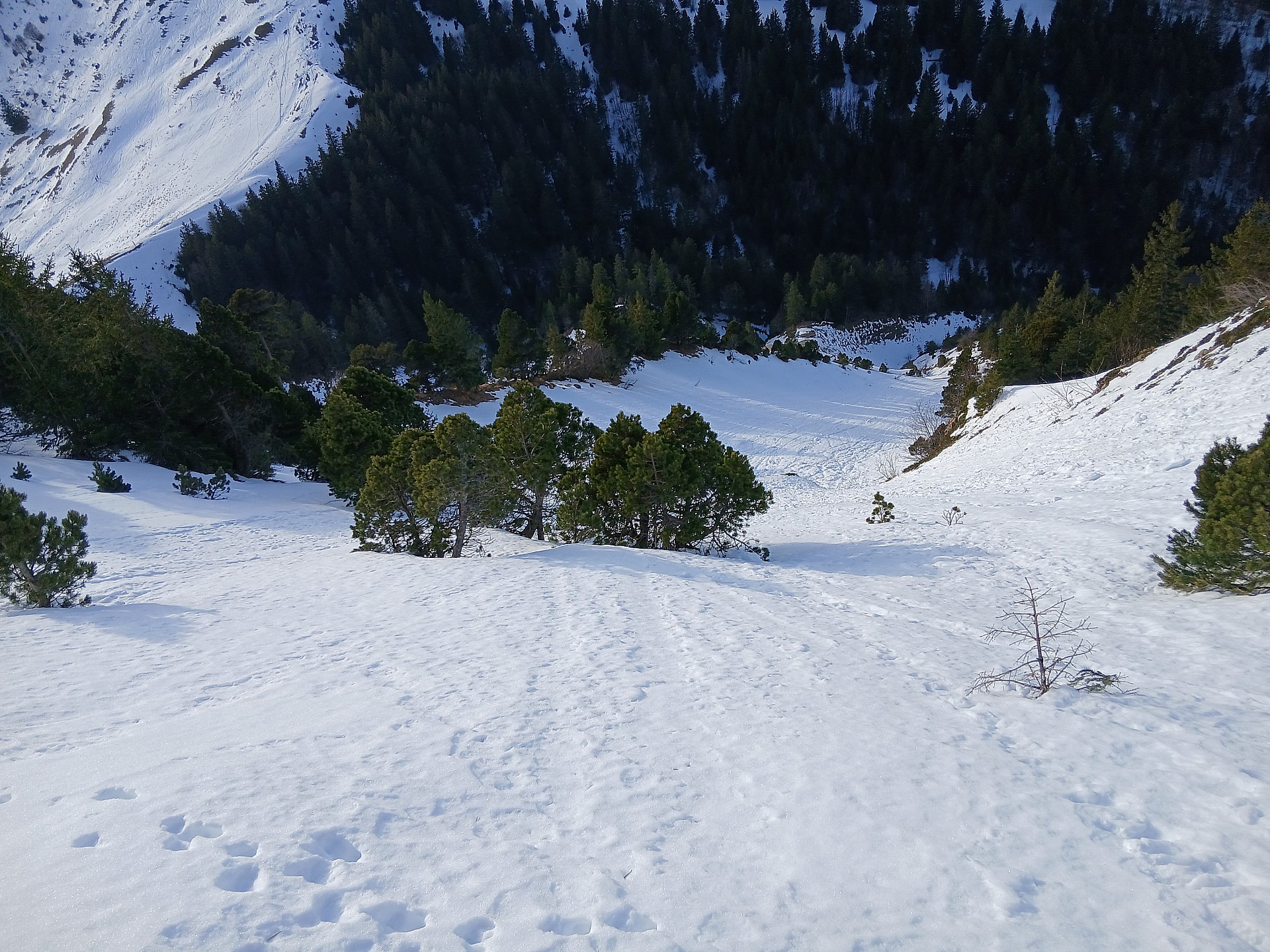 Descente Ravin de Rajas (variante 4 topo)