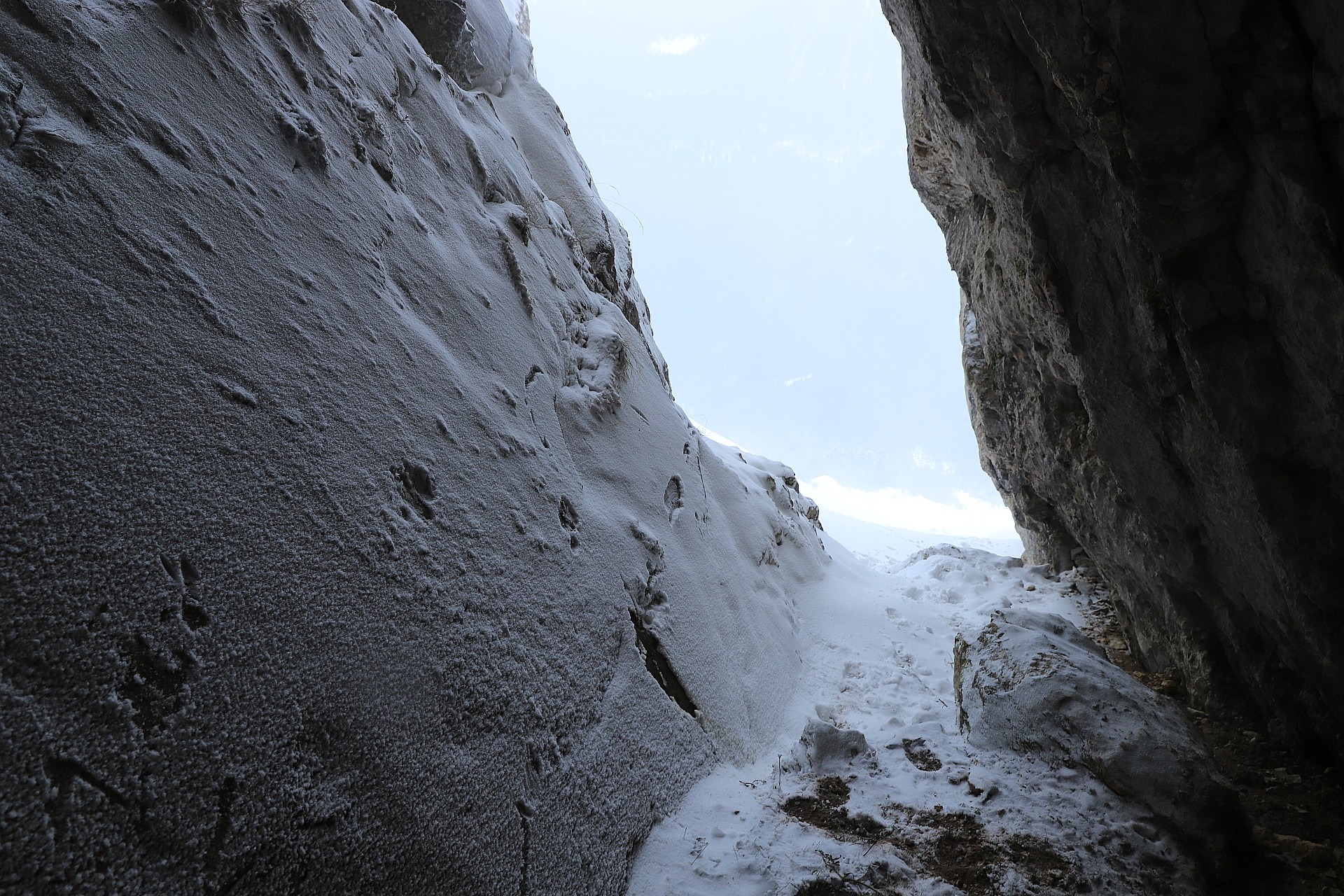 Itinéraire principal : dans la niche